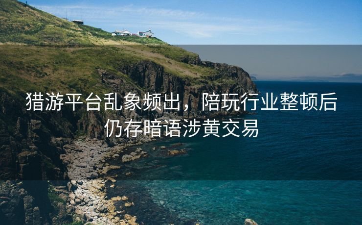 猎游平台乱象频出，陪玩行业整顿后仍存暗语涉黄交易