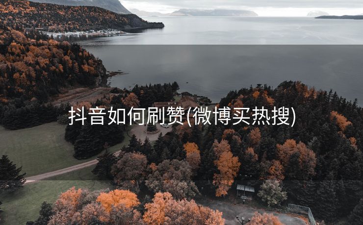抖音如何刷赞(微博买热搜)