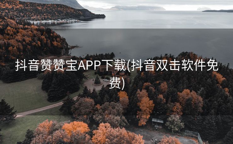 抖音赞赞宝APP下载(抖音双击软件免费)