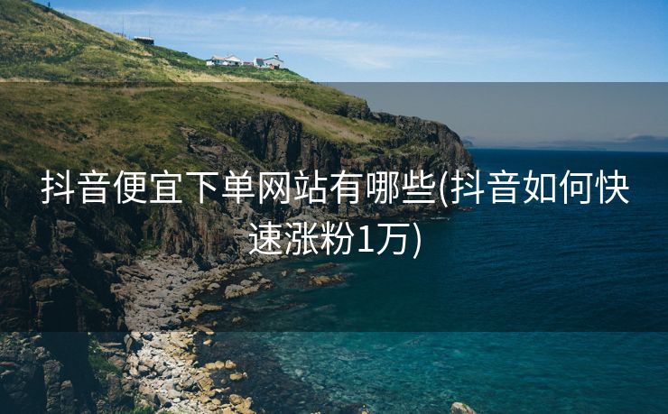 抖音便宜下单网站有哪些(抖音如何快速涨粉1万)