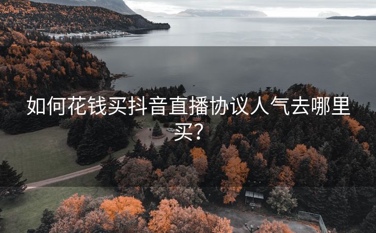 如何花钱买抖音直播协议人气去哪里买？