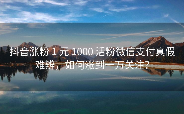 抖音涨粉 1 元 1000 活粉微信支付真假难辨，如何涨到一万关注？
