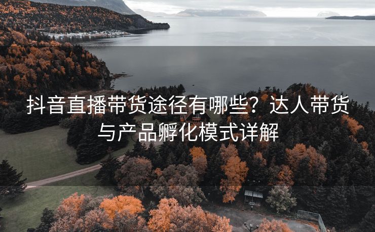 抖音直播带货途径有哪些？达人带货与产品孵化模式详解