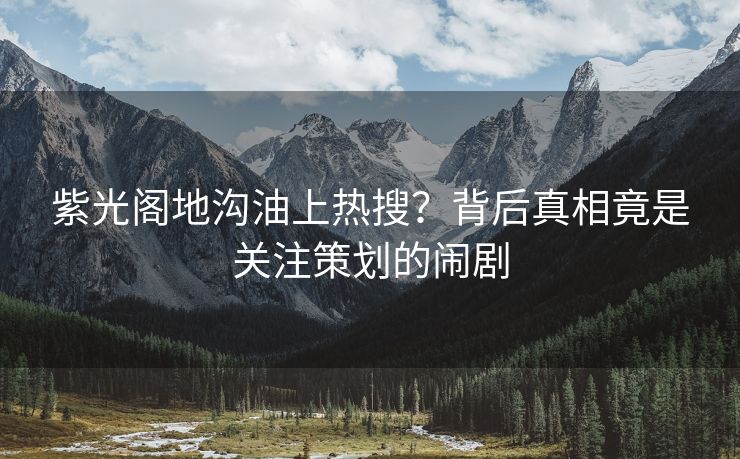 紫光阁地沟油上热搜？背后真相竟是关注策划的闹剧