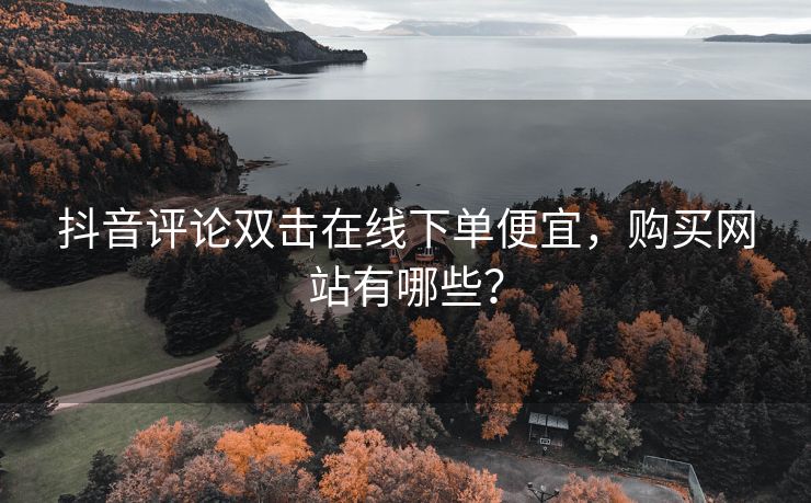 抖音评论双击在线下单便宜，购买网站有哪些？