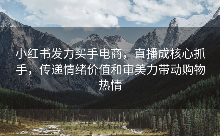 小红书发力买手电商，直播成核心抓手，传递情绪价值和审美力带动购物热情