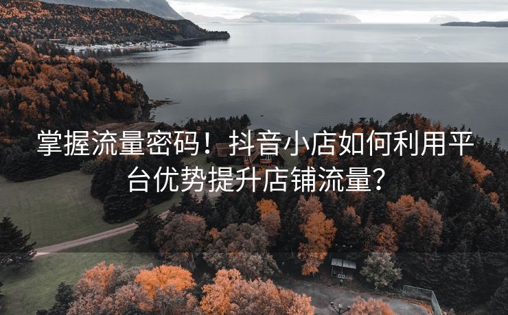 掌握流量密码！抖音小店如何利用平台优势提升店铺流量？