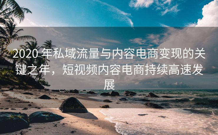 2020 年私域流量与内容电商变现的关键之年，短视频内容电商持续高速发展