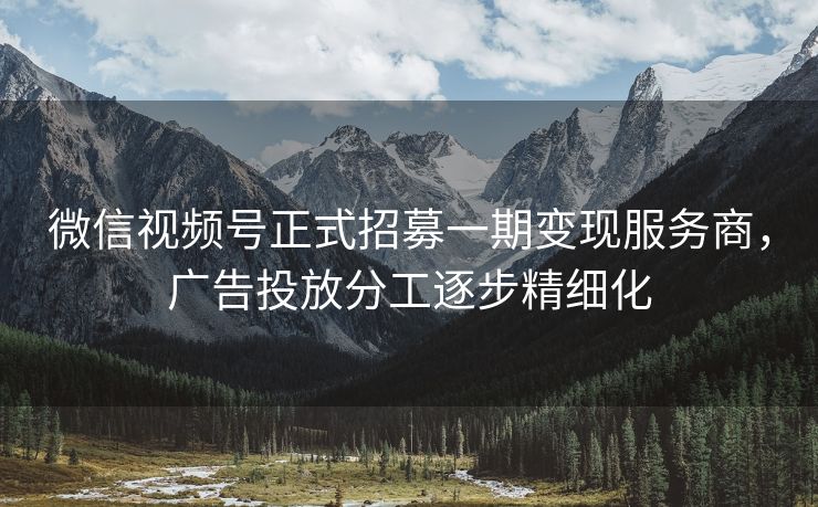 微信视频号正式招募一期变现服务商,广告投放分工逐步精细化