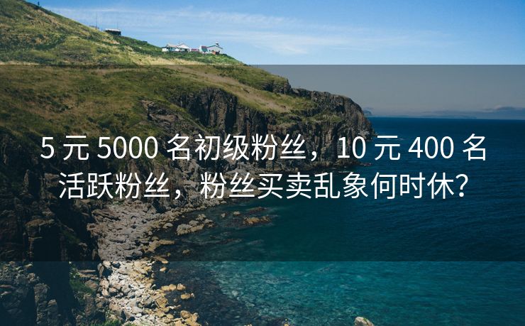 5 元 5000 名初级粉丝，10 元 400 名活跃粉丝，粉丝买卖乱象何时休？