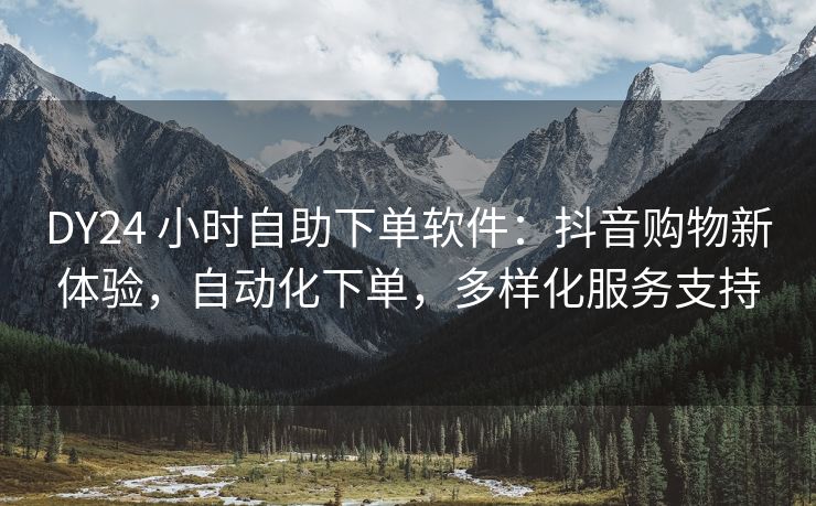 DY24 小时自助下单软件：抖音购物新体验，自动化下单，多样化服务支持
