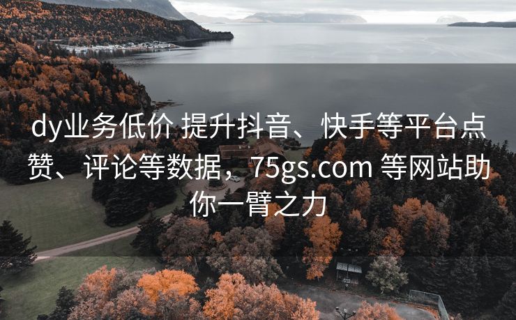 dy业务低价 提升抖音、快手等平台点赞、评论等数据，75gs.com 等网站助你一臂之力