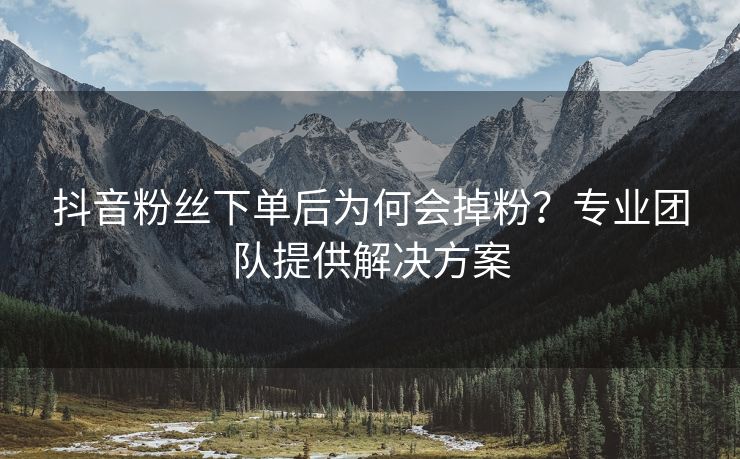 抖音粉丝下单后为何会掉粉?专业团队提供解决方案