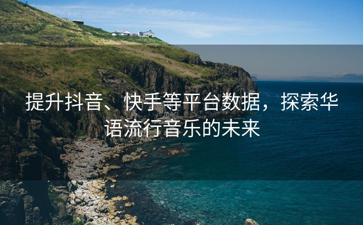 提升抖音、快手等平台数据，探索华语流行音乐的未来