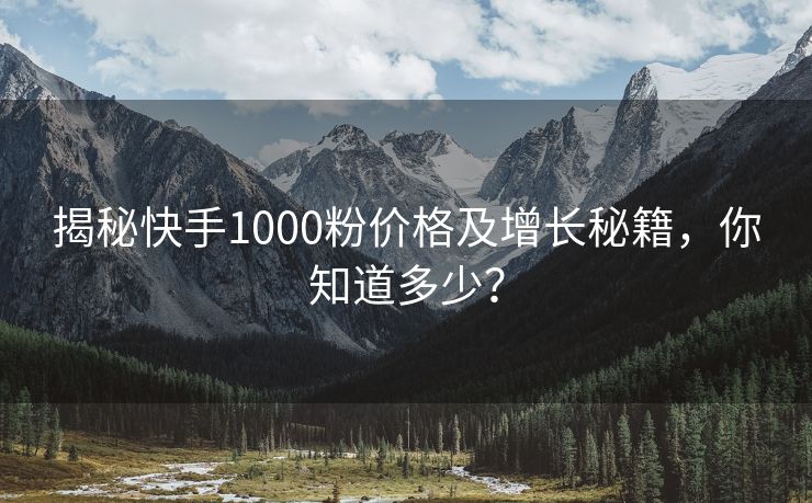 揭秘快手1000粉价格及增长秘籍，你知道多少？