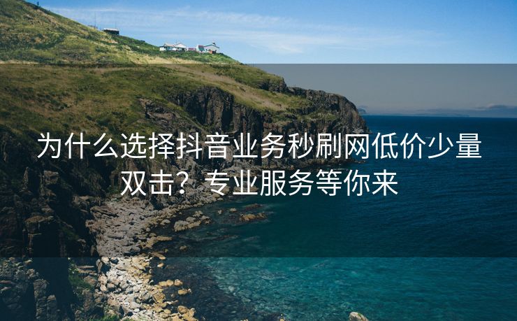 为什么选择抖音业务秒刷网低价少量双击?专业服务等你来
