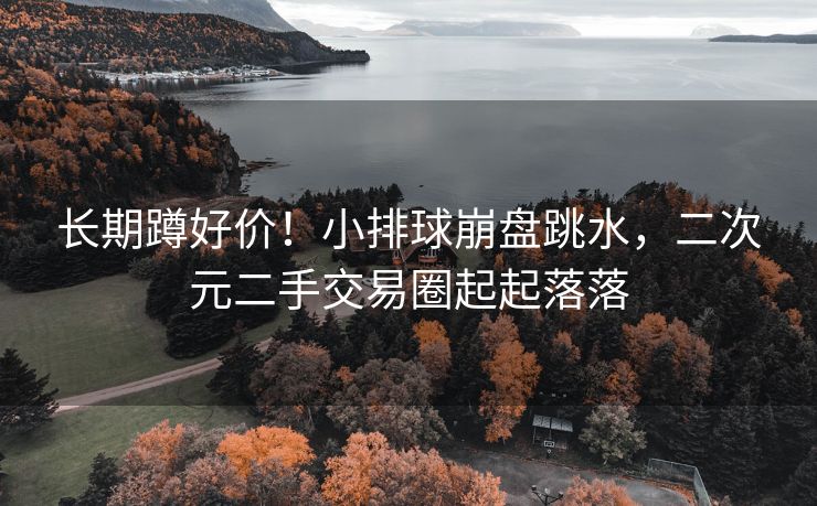 长期蹲好价！小排球崩盘跳水，二次元二手交易圈起起落落