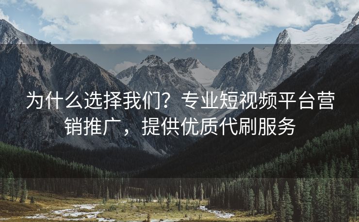 为什么选择我们？专业短视频平台营销推广，提供优质代刷服务