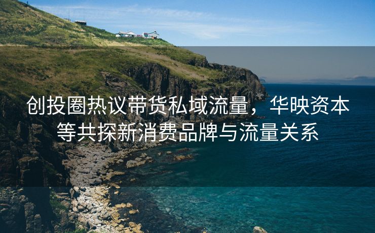 创投圈热议带货私域流量，华映资本等共探新消费品牌与流量关系