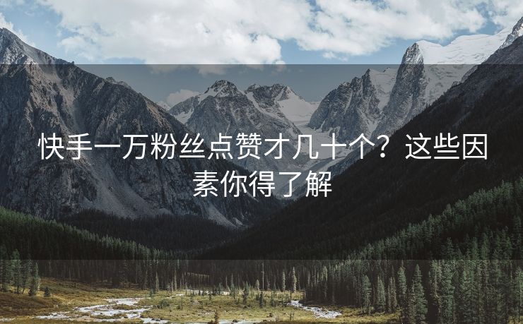 快手一万粉丝点赞才几十个？这些因素你得了解