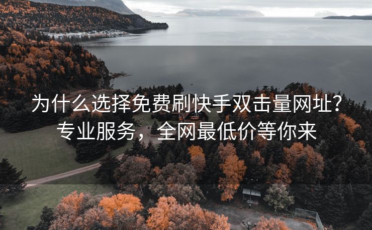为什么选择免费刷快手双击量网址？专业服务，全网最低价等你来