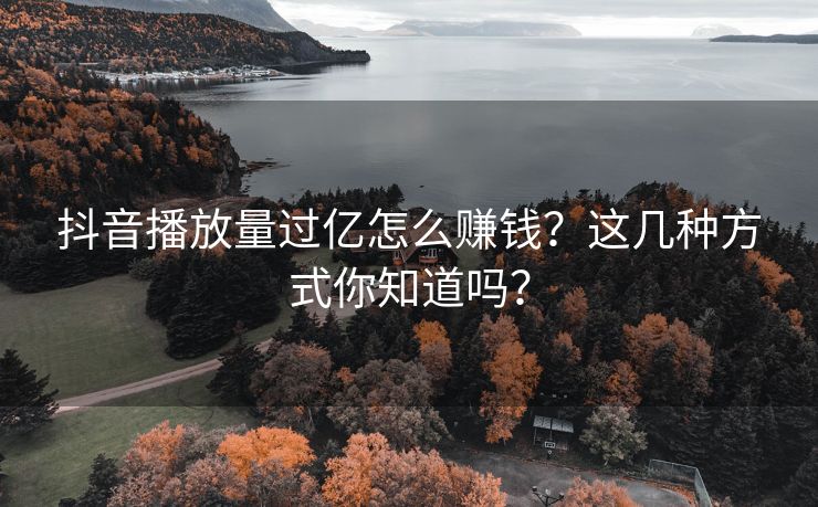 抖音播放量过亿怎么赚钱？这几种方式你知道吗？