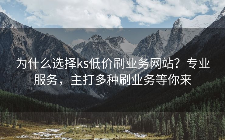 为什么选择ks低价刷业务网站？专业服务，主打多种刷业务等你来