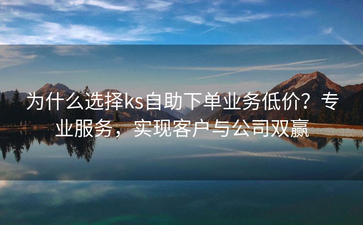 为什么选择ks自助下单业务低价？专业服务，实现客户与公司双赢