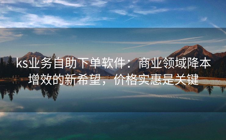 ks业务自助下单软件：商业领域降本增效的新希望，价格实惠是关键