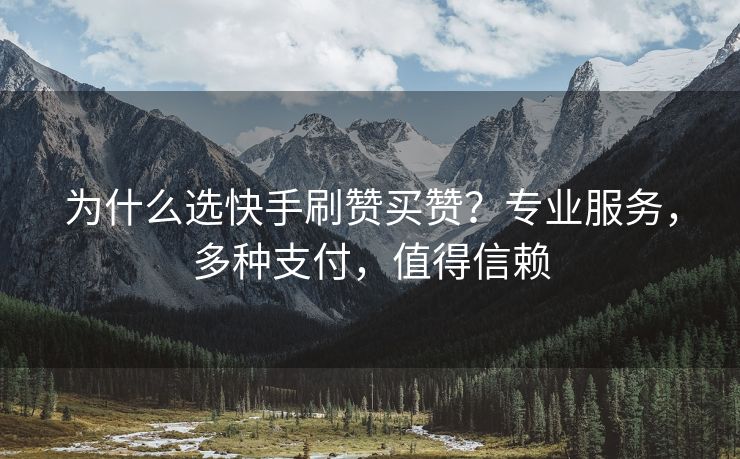 为什么选快手刷赞买赞？专业服务，多种支付，值得信赖