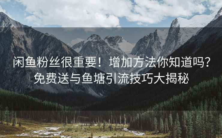 闲鱼粉丝很重要！增加方法你知道吗？免费送与鱼塘引流技巧大揭秘
