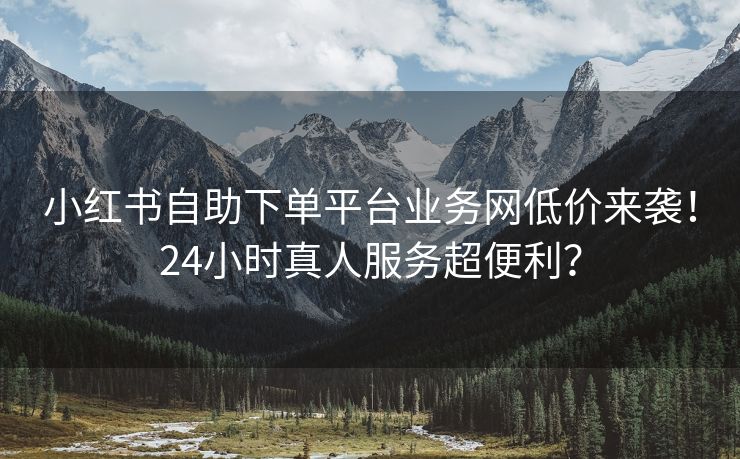 小红书自助下单平台业务网低价来袭！24小时真人服务超便利？