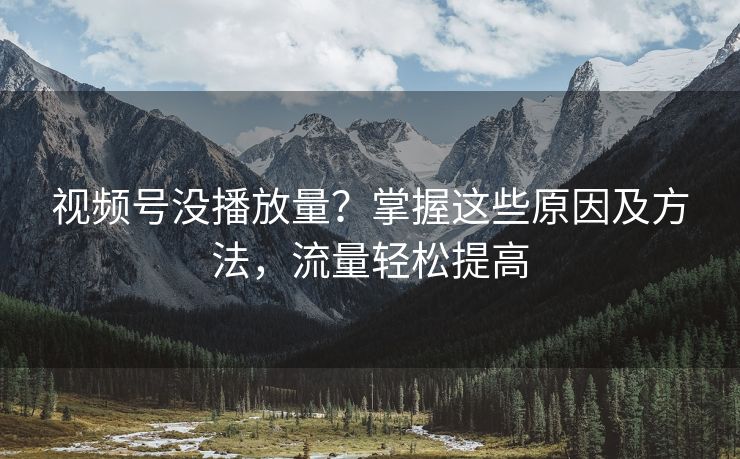 视频号没播放量？掌握这些原因及方法，流量轻松提高