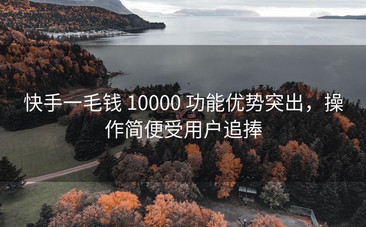 快手一毛钱 10000 功能优势突出，操作简便受用户追捧