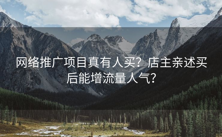网络推广项目真有人买？店主亲述买后能增流量人气？