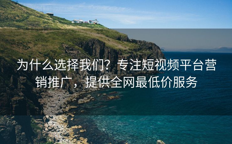 为什么选择我们？专注短视频平台营销推广，提供全网最低价服务