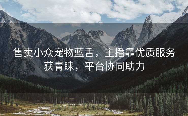 售卖小众宠物蓝舌，主播靠优质服务获青睐，平台协同助力