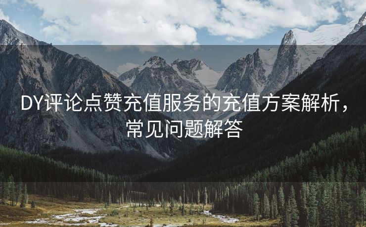 DY评论点赞充值服务的充值方案解析，常见问题解答