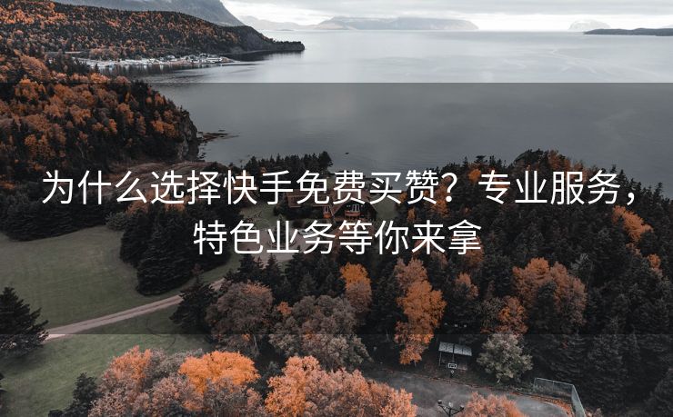 为什么选择快手免费买赞？专业服务，特色业务等你来拿