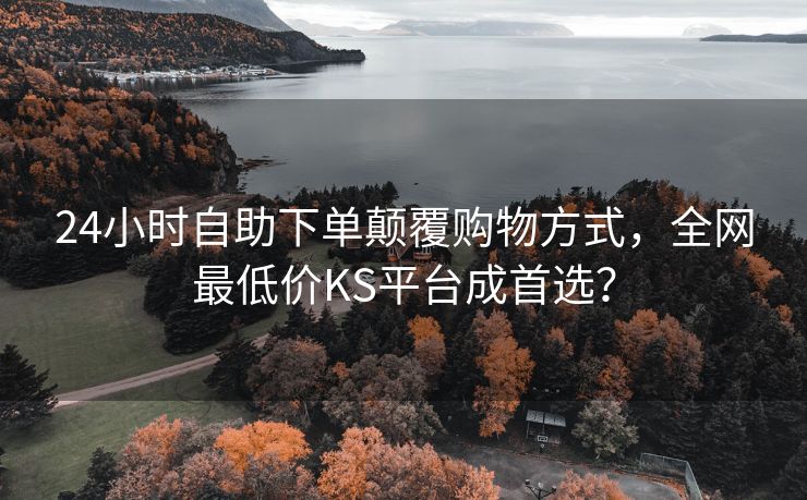 24小时自助下单颠覆购物方式，全网最低价KS平台成首选？
