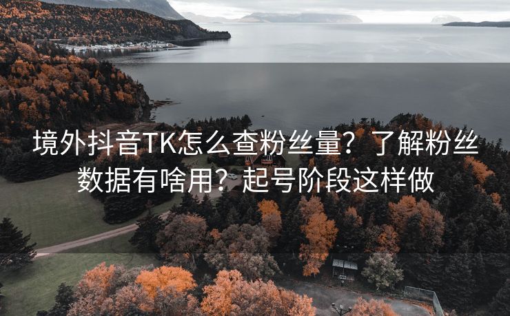境外抖音TK怎么查粉丝量？了解粉丝数据有啥用？起号阶段这样做