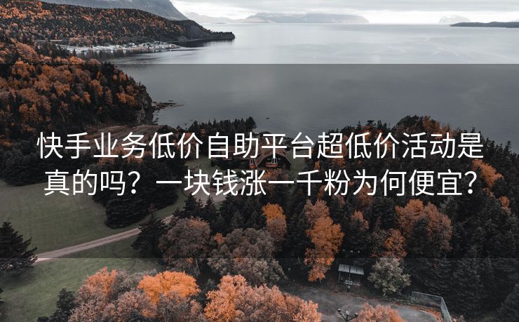 快手业务低价自助平台超低价活动是真的吗？一块钱涨一千粉为何便宜？
