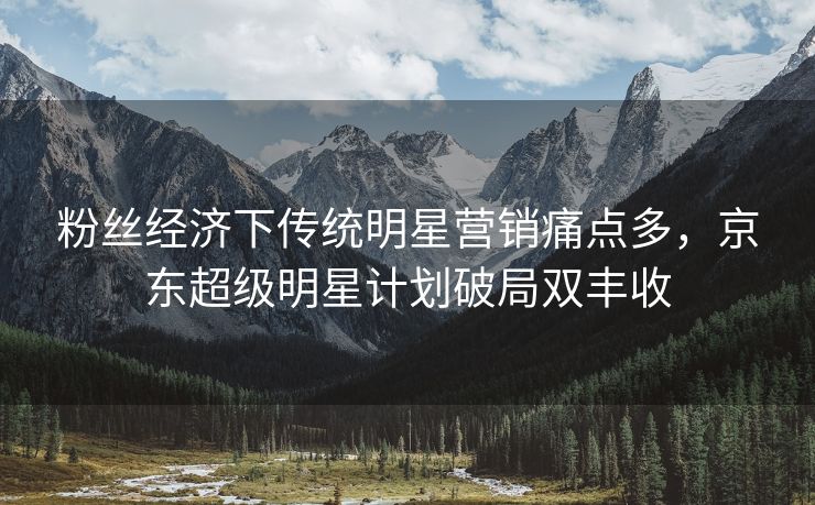 粉丝经济下传统明星营销痛点多，京东超级明星计划破局双丰收