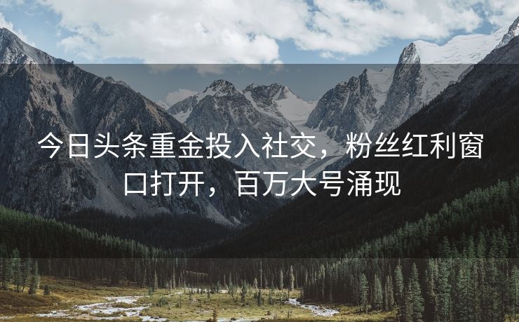 今日头条重金投入社交，粉丝红利窗口打开，百万大号涌现