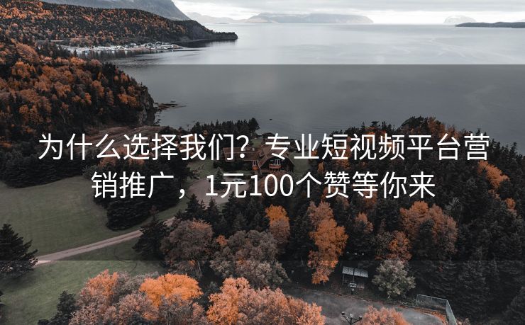为什么选择我们？专业短视频平台营销推广，1元100个赞等你来