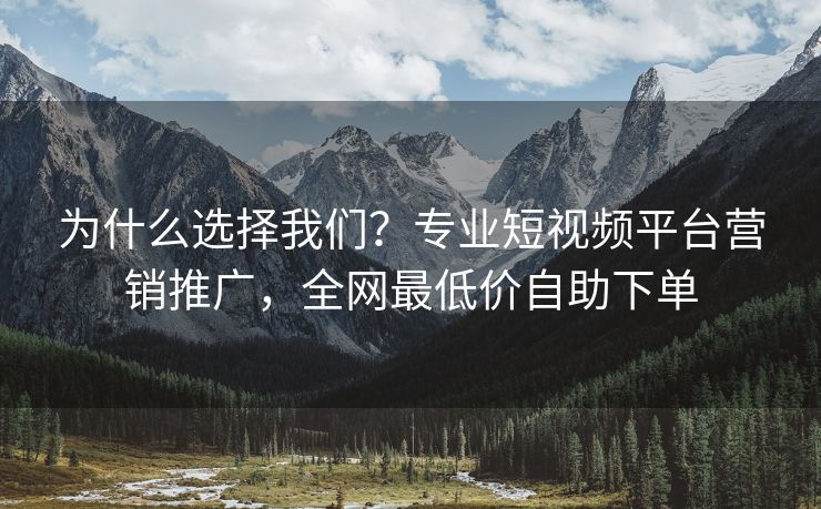 为什么选择我们？专业短视频平台营销推广，全网最低价自助下单