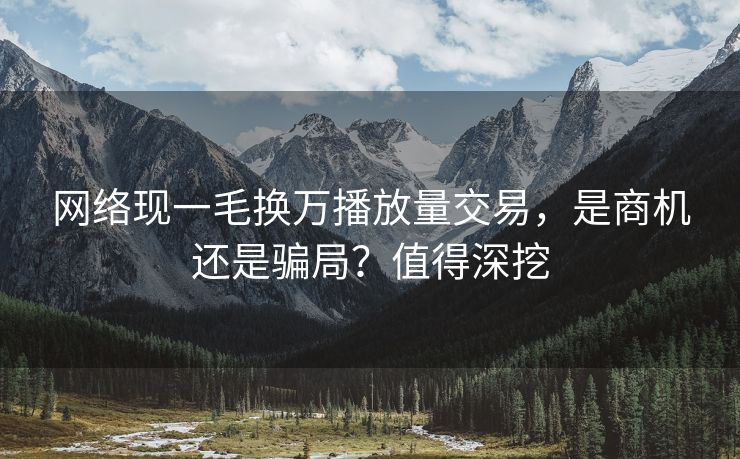 网络现一毛换万播放量交易，是商机还是骗局？值得深挖