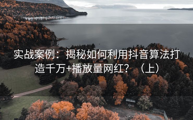 实战案例：揭秘如何利用抖音算法打造千万+播放量网红？（上）