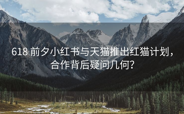 618 前夕小红书与天猫推出红猫计划，合作背后疑问几何？