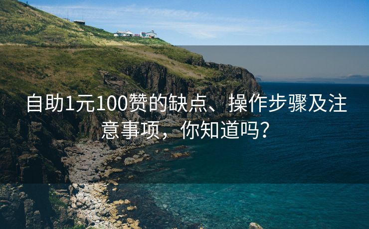 自助1元100赞的缺点、操作步骤及注意事项，你知道吗？
